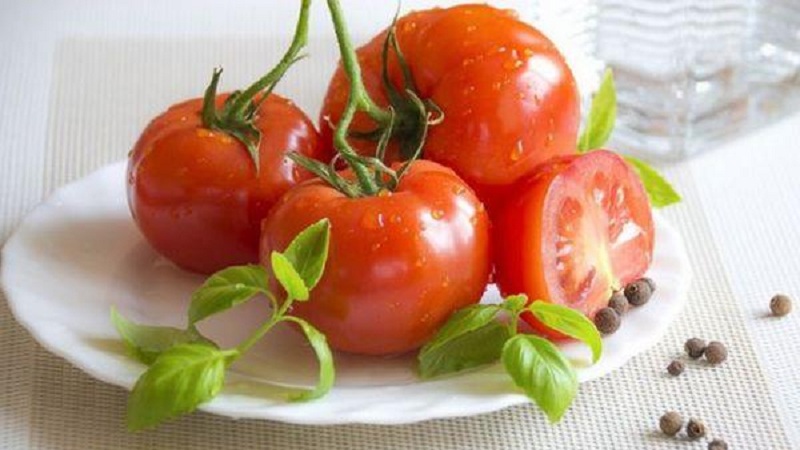 An excellent hybrid for open ground - the Shedi lady tomato f1: we grow unpretentious tomatoes without hassle