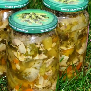 How to make the most delicious zucchini blanks for the winter without sterilization: recipes with photos