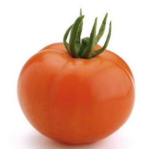 If you want to get an early harvest of juicy and sweet tomatoes - grow Aigen tomato f1 without too much hassle