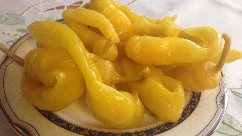 How to keep hot peppers for the winter at home frozen, dried or canned