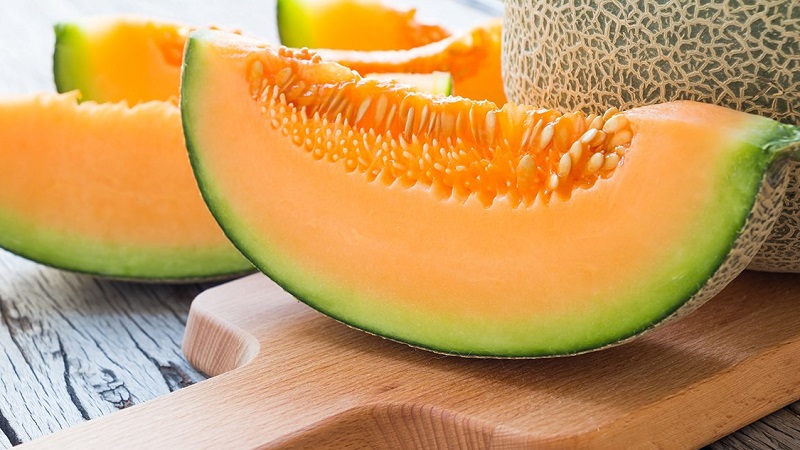 Review of the sweet and juicy variety of Slavia melon