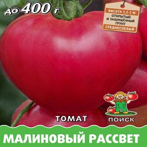 Salad variety with fleshy pulp - tomato Raspberry dawn