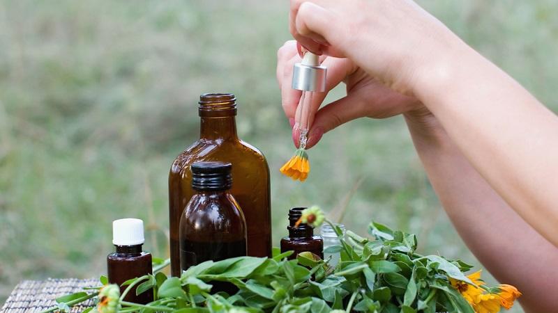 The best way to treat aphid dill
