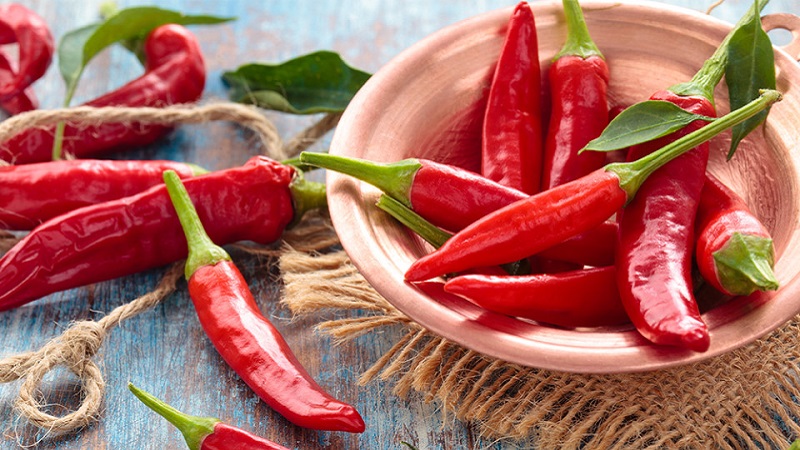Health benefits of cayenne pepper and how to grow it properly