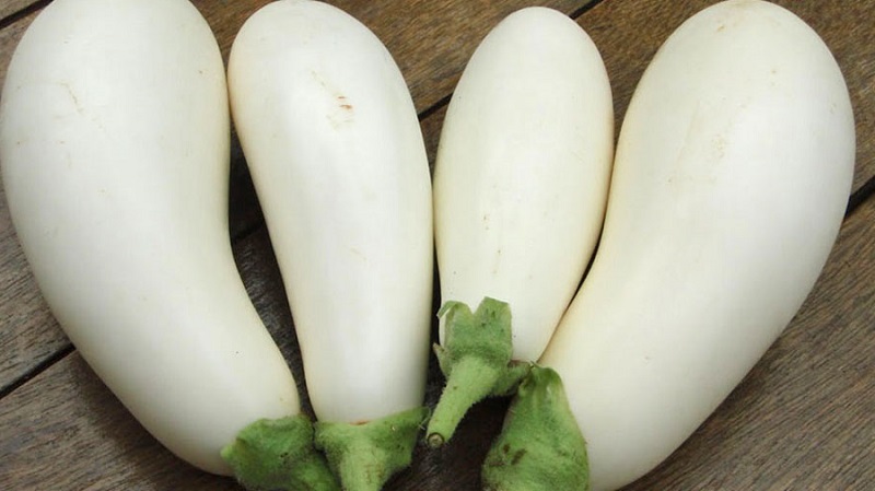 What are white eggplants and how they differ from ordinary ones