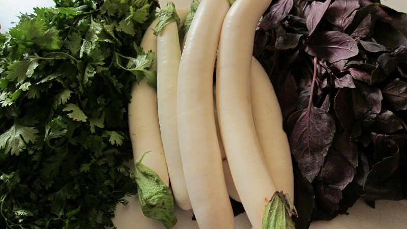 What are white eggplants and how they differ from ordinary ones