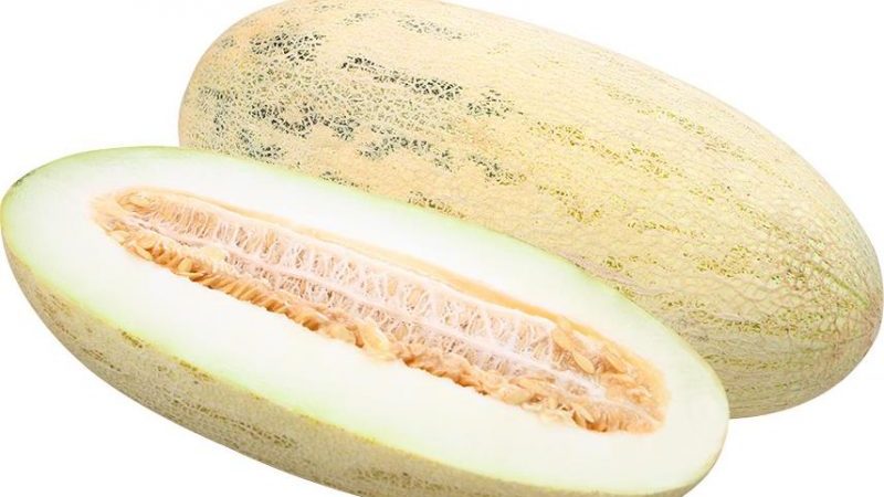 The most popular and beloved by many torpedo melon: we choose the right one and grow it ourselves