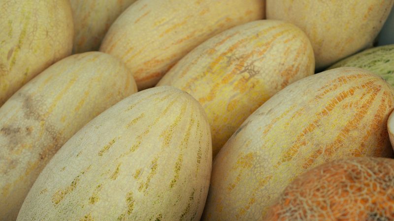 The most popular and beloved by many torpedo melon: we choose the right one and grow it ourselves