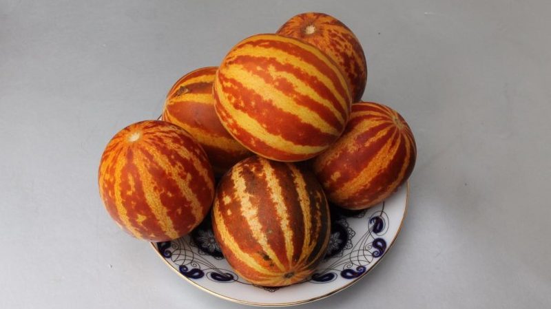 An exotic fruit with an unusual appearance and interesting taste - Vietnamese melon