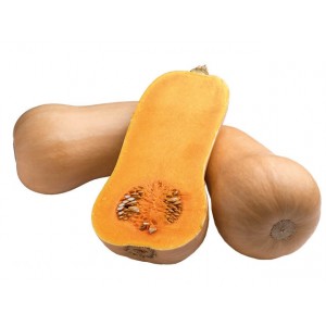 Dutch early ripe hybrid of Matilda pumpkin: we grow up to 15 kg of fruits per square meter