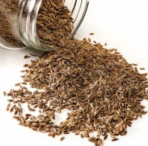 How to quickly germinate dill seeds and how to process them to accelerate the germination of greens