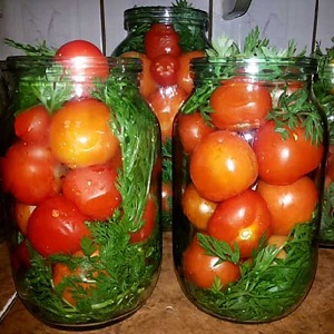 How to cook pickled tomatoes in jars How to use cold barrels: recipes and tips