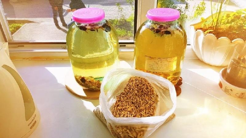 How to use oats for coughs: the best recipes and effectiveness