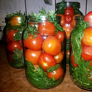 How to cook delicious canned tomatoes for the winter in liter jars: a selection of the best recipes