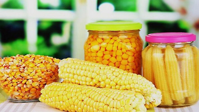 How to preserve corn on the cob for the winter at home: the best preservation recipes and freezing method