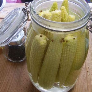 How to preserve corn on the cob for the winter at home: the best preservation recipes and freezing method