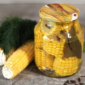 How to preserve corn on the cob for the winter at home: the best preservation recipes and freezing method