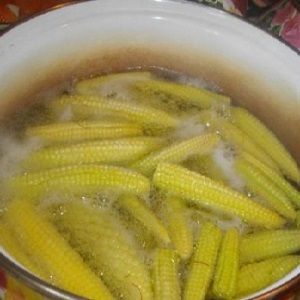 How to preserve corn on the cob for the winter at home: the best preservation recipes and freezing method