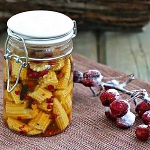 How to preserve corn on the cob for the winter at home: the best preservation recipes and freezing method