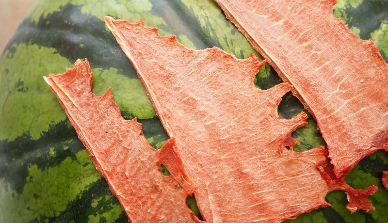 Step-by-step instructions: how to dry a watermelon in an electric dryer and store the finished product