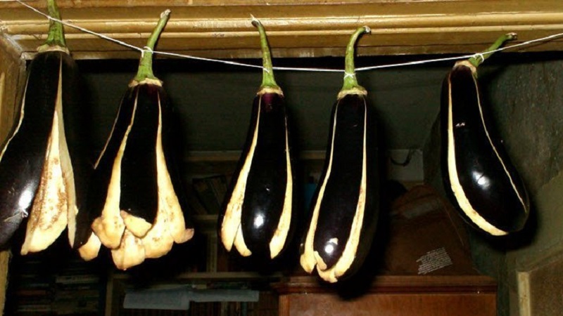 How to dry eggplants for the winter at home correctly: 3 best ways