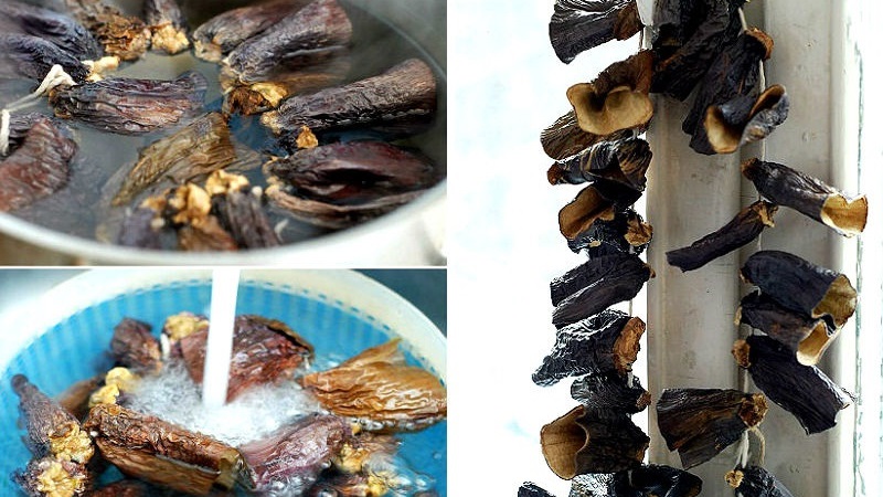How to dry eggplants for the winter at home correctly: 3 best ways