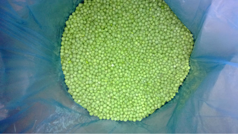 The simplest blanks: how to freeze green peas at home for the winter and what to cook from them later