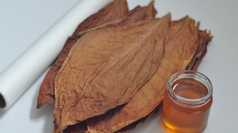 What are the varieties of tobacco that do not require fermentation