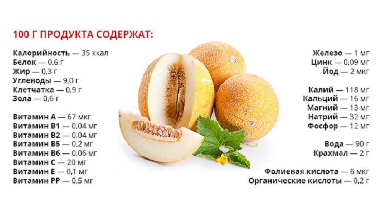 What vitamins are in melon and how is it useful for the body