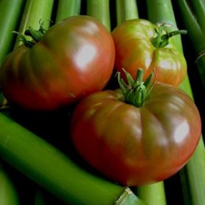 Tomato Mikado loved by summer residents with a rich palette of subspecies and strong immunity - we grow ourselves without hassle