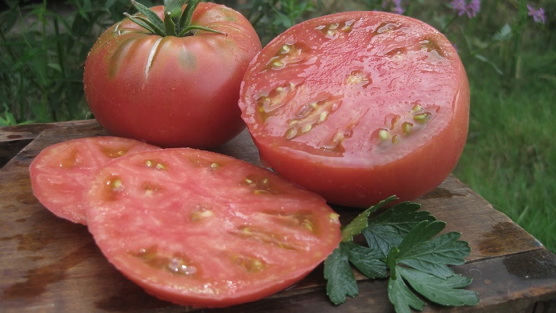 Tomato Mikado loved by summer residents with a rich palette of subspecies and strong immunity - we grow ourselves without hassle
