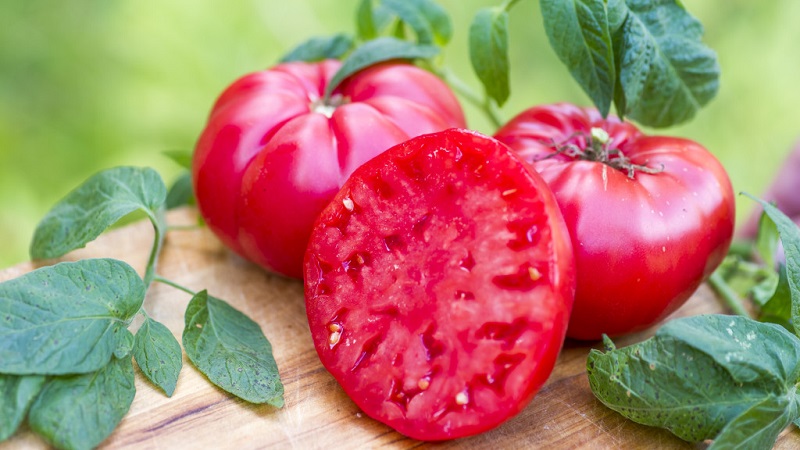 Tomato Mikado loved by summer residents with a rich palette of subspecies and strong immunity - we grow ourselves without hassle