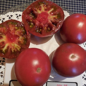 Tomato Mikado loved by summer residents with a rich palette of subspecies and strong immunity - we grow ourselves without hassle