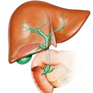 Is it possible to eat watermelon with cholecystitis and pancreatitis