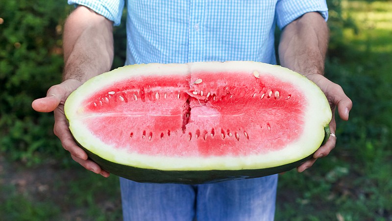 Is it possible to eat watermelon with cholecystitis and pancreatitis