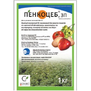 A reliable drug to guard the health of tomatoes - Penncoceb for processing tomatoes: instructions for use