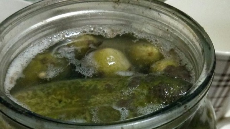 Why cucumber jars explode and what to do to avoid it