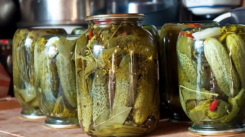 Why cucumber jars explode and what to do to avoid it