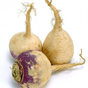 Useful properties and contraindications of rutabagas: how to use the root crop in cooking, cosmetology and folk medicine