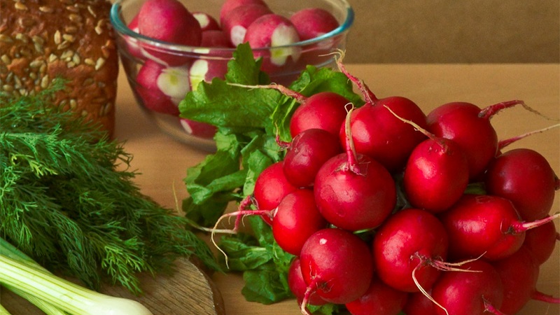 The benefits and harms of radishes for the human body