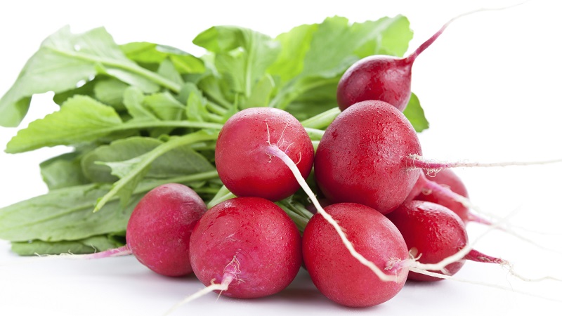 The benefits and harms of radishes for the human body