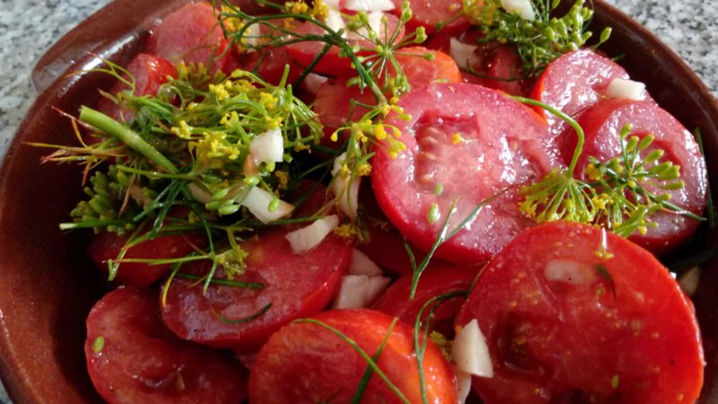 Recipes of lightly salted instant tomatoes: top of the most delicious ways, tips and tricks