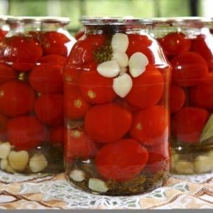 Recipes of lightly salted instant tomatoes: top of the most delicious ways, tips and tricks