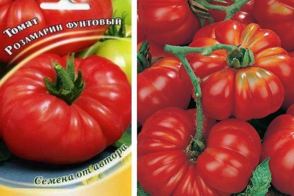 How to grow and where to use tomato pound Rosamarin