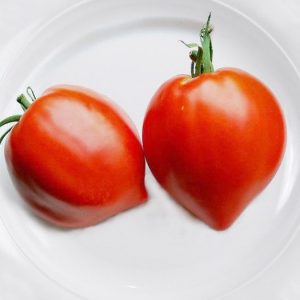 Tomato variety Strawberry tree - Siberian disease resistance and high yield