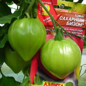 Stable in yield and disease-resistant tomato Sugar bison: characteristics and description of the variety