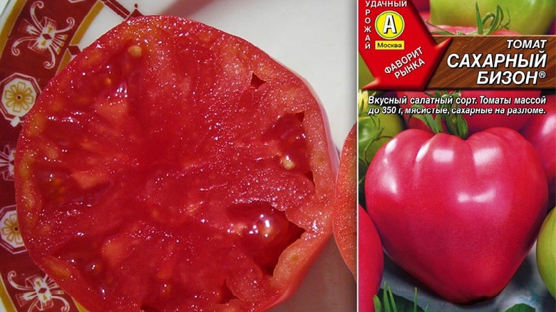 Stable in yield and disease-resistant tomato Sugar bison: characteristics and description of the variety