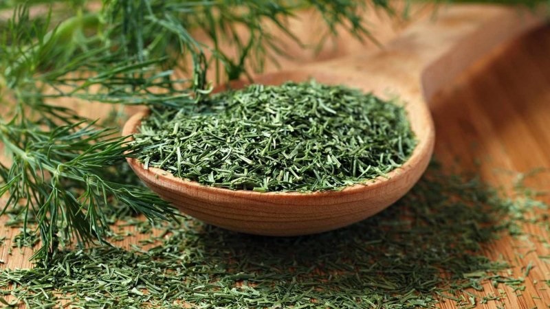 Why is dried dill useful, how to prepare and use it