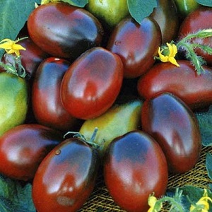 Bright and tasty decoration of your summer cottage - Monisto pink tomato