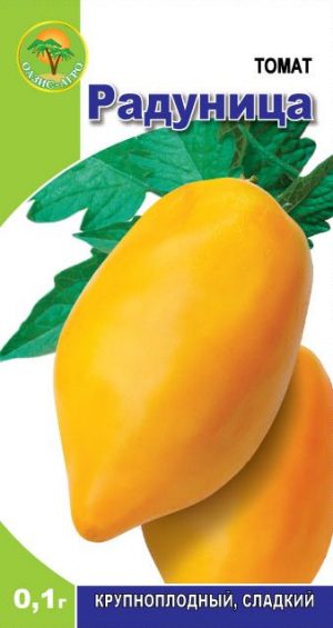 A bright representative of mid-season fruitful varieties - the Radunitsa tomato and tips for its proper cultivation